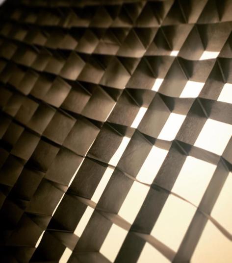 Honeycomb Grid — Overhead / Butterfly